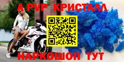 индика Новодвинск